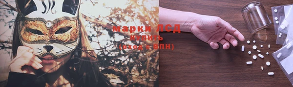 прущие грибы Балабаново