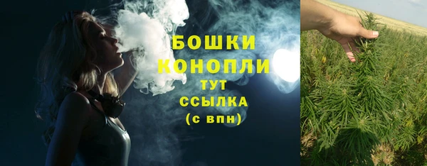 спайс Баксан