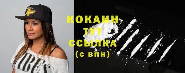 прущие грибы Балабаново