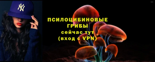 спайс Баксан