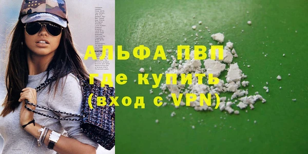 прущие грибы Балабаново