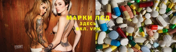 спайс Баксан