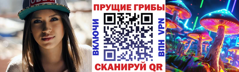 Псилоцибиновые грибы Psilocybe  блэк спрут ONION  Ладушкин 